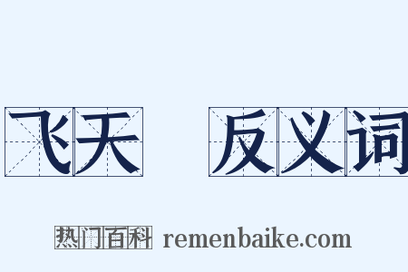 飞天紒反义词是什么意思的图片